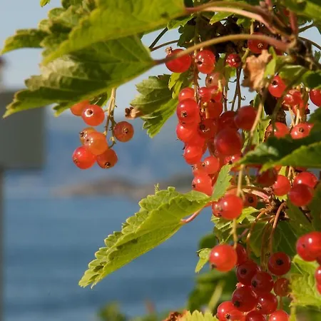 Ulvesund Fyr Bed & Breakfast