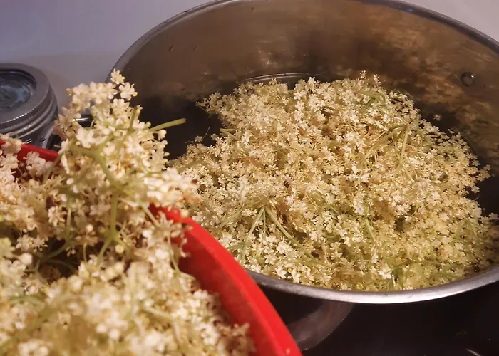 Casa vacanze Ulvesund Fyr