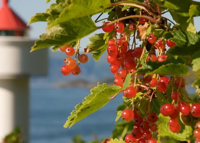 Ulvesund Fyr Casa vacanze