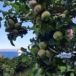 Feriehus Ulvesund Fyr *