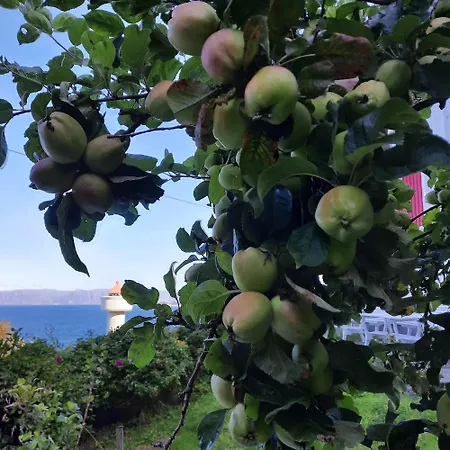 Vakantiehuis Ulvesund Fyr *